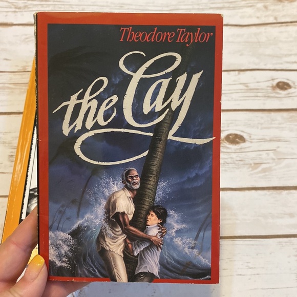 The Cay Novel and Unit Study - Picture 2 of 8